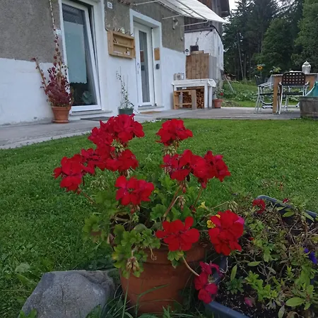Pedibosco Ronco Gæstehus